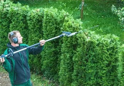 Hedge trimming