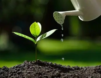 Watering garden