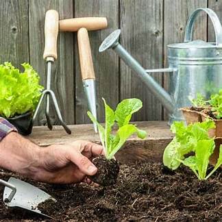 Gardening